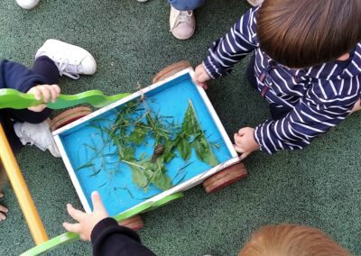 Vive les escargots à la crèche franco-allemande Hansel et Gretel de Nantes